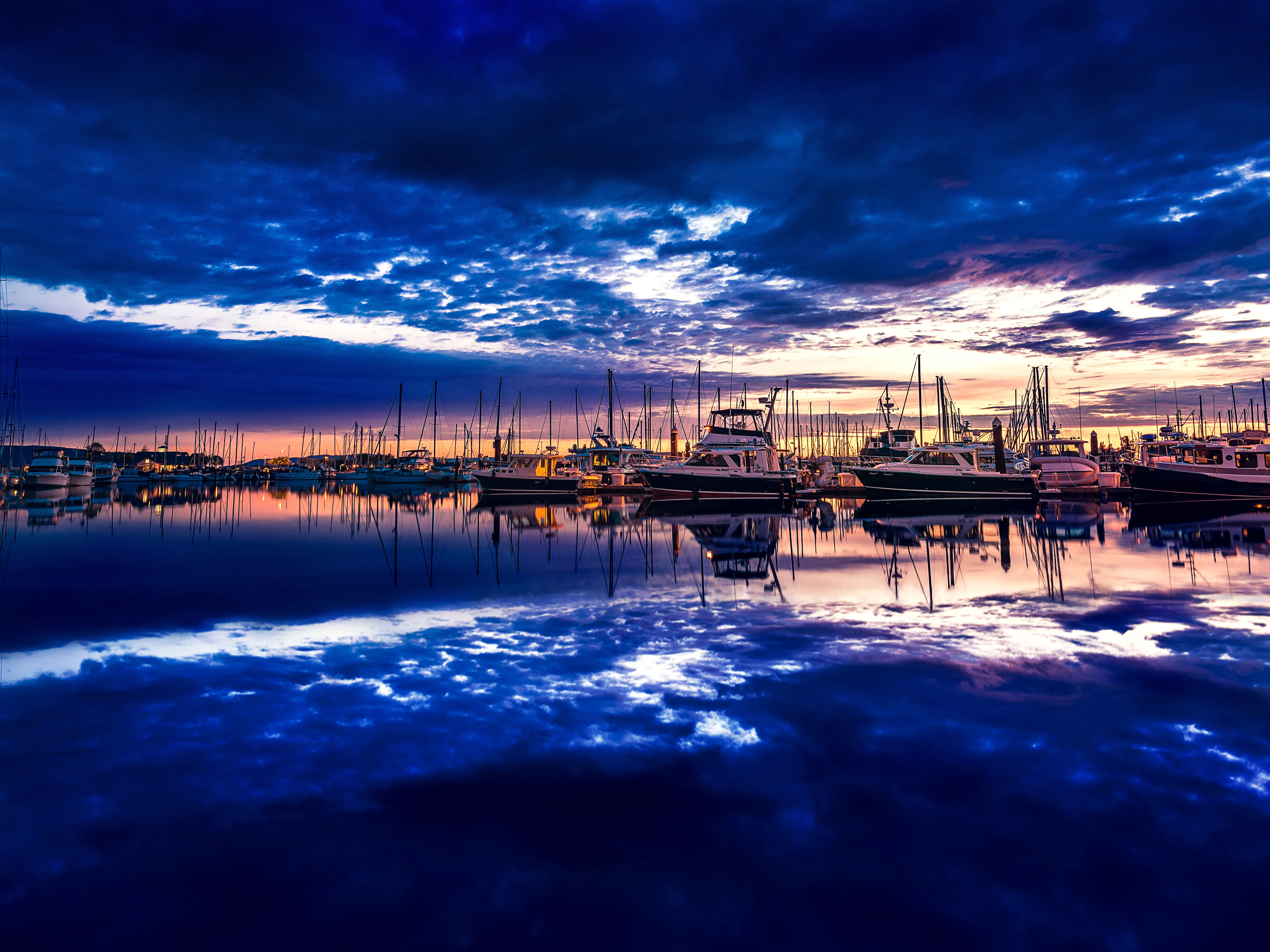 Bellinghams Squalicum Marina 27185534014 O