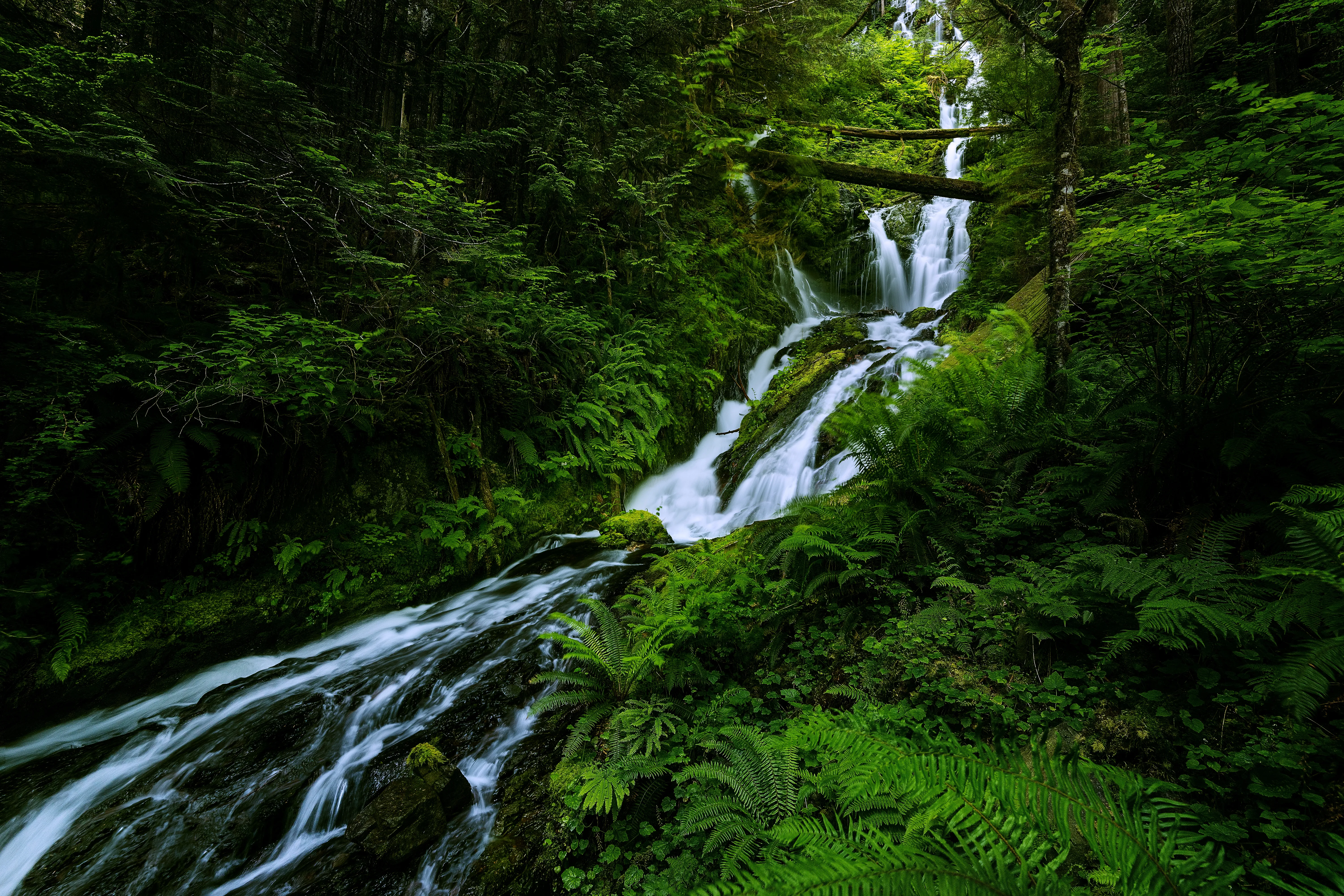 Deadhorse Creek Falls 27878466543 O