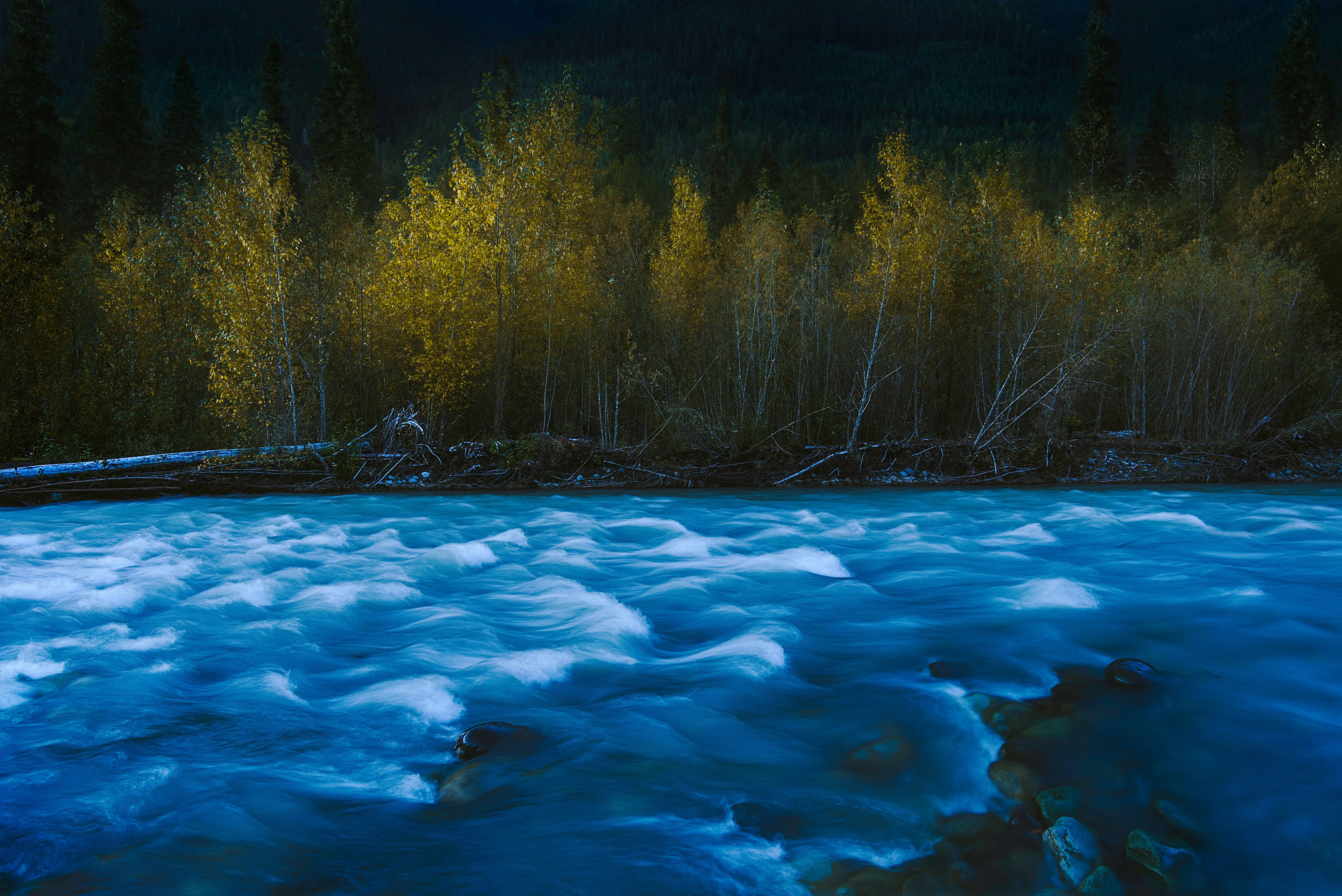 Fall On The Nooksack 30058580662 O